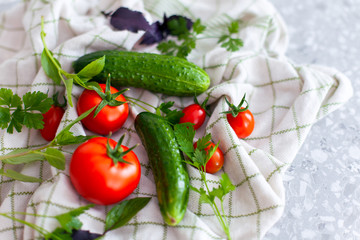 Fototapeta na wymiar Tomatoes, cucumbers, basil and parsley on towel on kitchen table.
