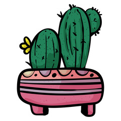A plant from the succulents family. Cactus in a pot on a stand with stripes. - Vector