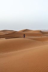 Fototapeta na wymiar Les magnifiques dune de sable du désert Iranien