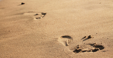 footprints in the sand