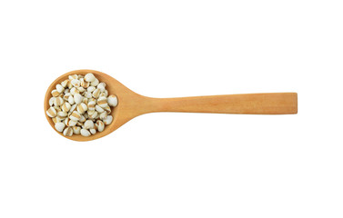 Millet in spoon  isolated on white background