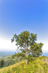 landscape in Altai mountains