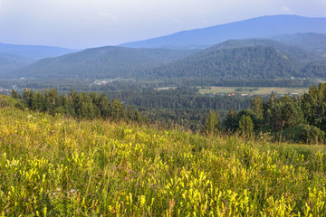 landscape in Altai mountains