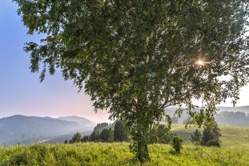 landscape in Altai mountains