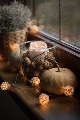 autumn cosy pumpkin, candles and autumn plants on window with led lights bokeh