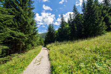 Fototapeta premium Jaworzynka Valley in Tatra mountains. Poland.