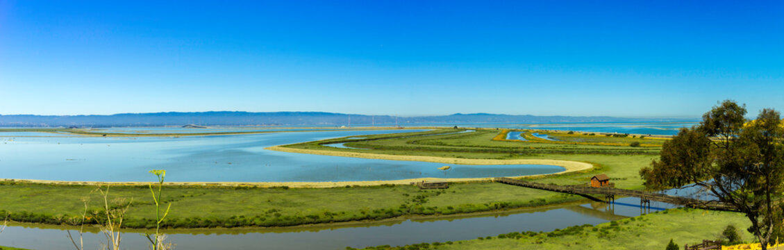 Don Edwards San Francisco Bay National Wildlife Refuge California