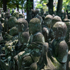 Fototapeta na wymiar Rakan statues in japan
