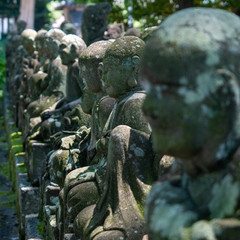 Fototapeta na wymiar Rakan statues in japan