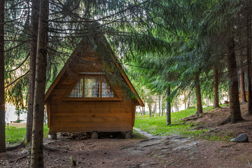 house in the forest