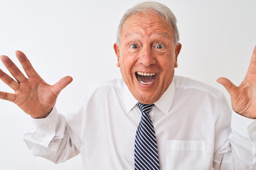 Senior grey-haired businessman wearing tie standing over isolated white background very happy and excited, winner expression celebrating victory screaming with big smile and raised hands