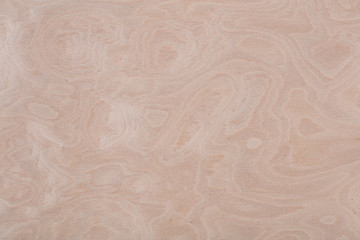 Natural light beige ash veneer background for your classic design. High quality texture in extremely high resolution. 50 megapixels photo.
