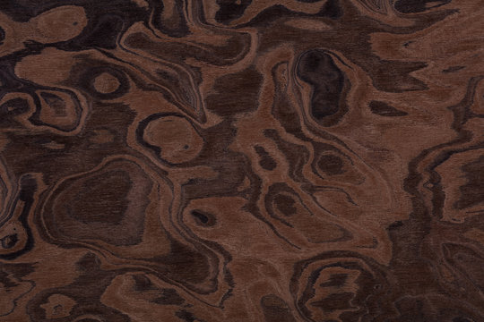 Contrast brown nut veneer background for your elegant design. High quality texture in extremely high resolution. 50 megapixels photo.