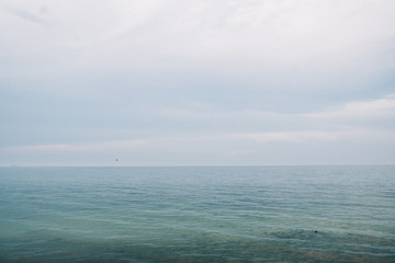 Obraz premium Gespensterwald in Rostock Nienhagen