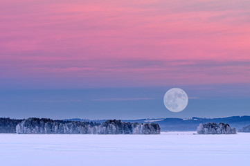 Fototapety na wymiar - Fototapeta24.pl