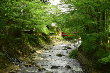 夏の小川