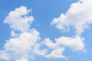 Fototapeta premium The nature of blue sky with cloud in the morning.