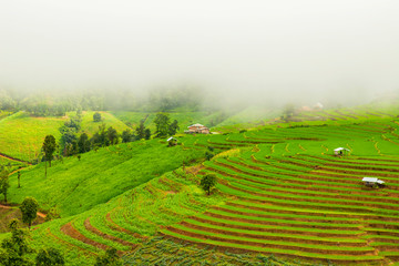 Rice terrace at Pa-pong-peang , Mae Chaem, Chaing Mai ,North Thailand..