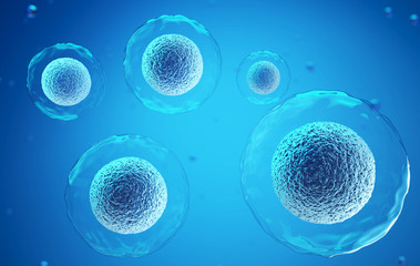 3d rendering of Human cell or Embryonic stem cell microscope background. © Anusorn