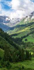 Fototapeta na wymiar Scenic landscape with green meadows, fir trees and mountains in clouds, Austria