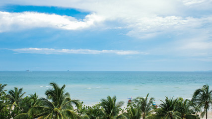 the landscape view of the sea with the coconut tree at the foreground 