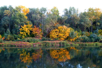 Fototapeta premium autumn in the park