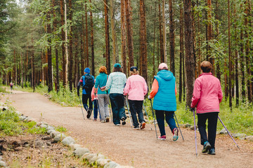 Older women go Nordic walking with sticks in coniferous forest, concept that is good for fitness - obrazy, fototapety, plakaty
