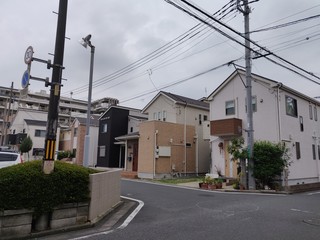 Japanese style house