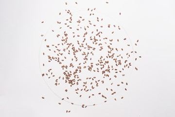 Dried flaxseeds isolated on white backgroud.