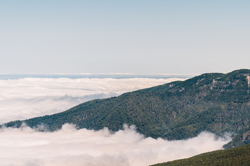 Postcards from Tenerife