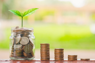 green plant growing on coin in glass jar and coin stack on wood table in park with blur nature background.business financial banking saving concept.investment profit income.marketing startup success.