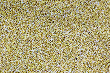 millet groats texture background. nutrition. bio. natural food ingredient.