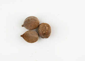 dried fruits of beleric Myrobalan, Ink Not, Bahara, Beleric (Terminalia bellirica (Gaertn.) Roxb.) which have property medicine and an ingredient of triphala