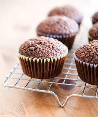 Chocolate cupcakes background.