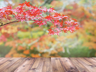 Naklejka na ściany i meble Wooden table top over maple leaves autumn background.