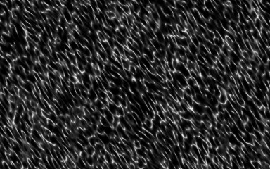 white gradient wave caustics on black 