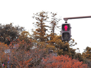 Red traffic lights for pedestrian do not cross the street