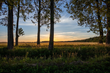 Fototapeta na wymiar Sonnenuntergang über einem Feld