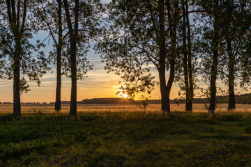 Fototapeta na wymiar Sonnenuntergang über einem Feld hinter Bäumen
