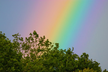 Ein malerischer Regenbogen über dem Wald
