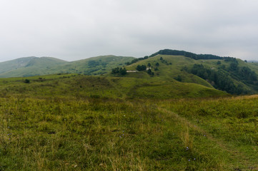 Fototapeta na wymiar MouGreen lawn grass landscape in the caucasus mountains near kislowodsk, august 2019, raw original picture