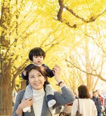 イチョウ　銀杏　紅葉　家族