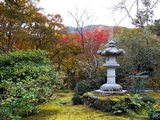Stone lantern in Japanese botanical zen garden.