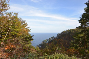 紅葉