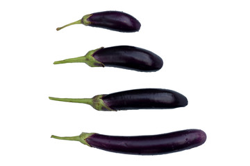 eggplants isolated on white background