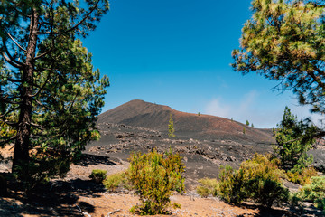 Postcards from Tenerife