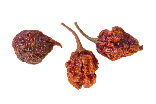 Dried Scorpion Peppers