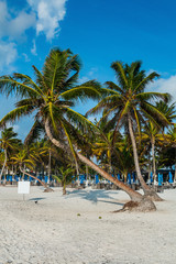 Tulum, Yucatan, Riviera Maya.