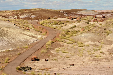 Trail through Petrified Forest Arizona