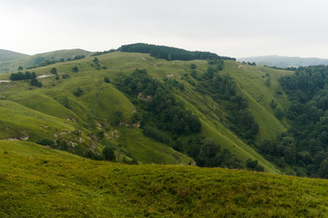 MouGreen lawn grass landscape in the caucasus mountains near kislowodsk, raw original picture